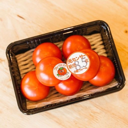 とまとの王子さま＆フルーツトマト糖度8.5度　計約2kg ※2026年1月上旬～4月下旬頃に順次発送予定◆