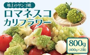 冷凍カットロマネスコカリフラワー 400g×2袋（800ｇ） 464686_F610