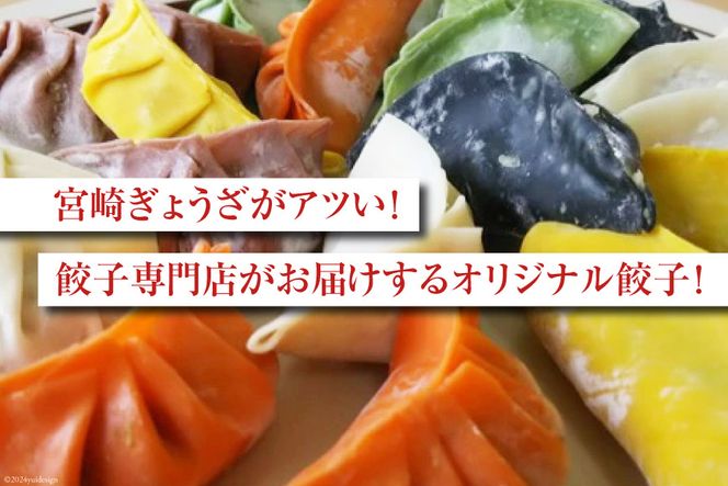 宮崎餃子 バラエティーセット 彩り・白・へべす 各15個 計45個 [餃子の里 宮崎県 日向市 452060985] 惣菜 餃子 ぎょうざ ギョウザ 専門店 食べ比べ 詰め合わせ セット 冷凍