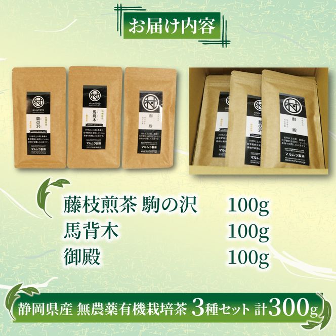 有機 栽培 藤枝 煎茶 3種セット 100g×3個 計300g 無農薬 煎茶 有機栽培 お茶 静岡茶 贈答 ギフト お取り寄せ マルムラ製茶 静岡県産 藤枝［PT0207-000009］