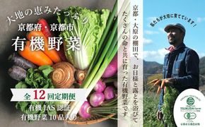 ◆全12回定期便◆【つくだ農園】《有機JAS認証 有機野菜10品入り》京都の棚田大原で心を込めて大切に露地栽培された大地の恵みたっぷりの有機野菜!［ 有機野菜 京都 野菜 有機栽培 定期便 セット 季節の野菜 おまかせ 詰め合わせ 産地直送 新鮮 ミシュラン 錦市場 人気 送料無料 おすすめ ふるさと納税 ］ 261009_A-FZ002