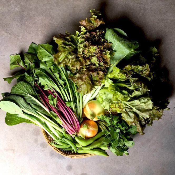 ◆全12回定期便◆【つくだ農園】《有機JAS認証 有機野菜10品入り》京都の棚田大原で心を込めて大切に露地栽培された大地の恵みたっぷりの有機野菜!［ 有機野菜 京都 野菜 有機栽培 定期便 セット 季節の野菜 おまかせ 詰め合わせ 産地直送 新鮮 ミシュラン 錦市場 人気 送料無料 おすすめ ふるさと納税 ］ 261009_A-FZ002