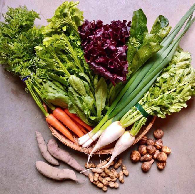 ◆全12回定期便◆【つくだ農園】《有機JAS認証 有機野菜10品入り》京都の棚田大原で心を込めて大切に露地栽培された大地の恵みたっぷりの有機野菜!［ 有機野菜 京都 野菜 有機栽培 定期便 セット 季節の野菜 おまかせ 詰め合わせ 産地直送 新鮮 ミシュラン 錦市場 人気 送料無料 おすすめ ふるさと納税 ］ 261009_A-FZ002