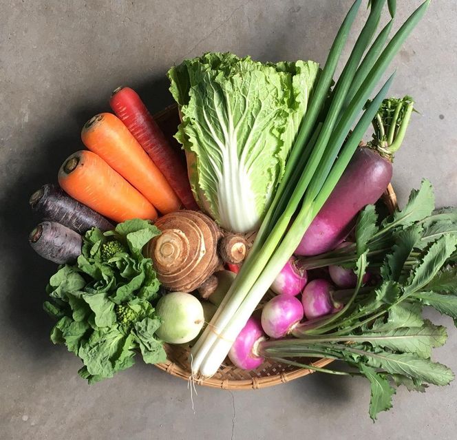 ◆全12回定期便◆【つくだ農園】《有機JAS認証 有機野菜10品入り》京都の棚田大原で心を込めて大切に露地栽培された大地の恵みたっぷりの有機野菜!［ 有機野菜 京都 野菜 有機栽培 定期便 セット 季節の野菜 おまかせ 詰め合わせ 産地直送 新鮮 ミシュラン 錦市場 人気 送料無料 おすすめ ふるさと納税 ］ 261009_A-FZ002