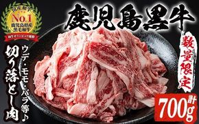 数量限定！鹿児島黒牛切り落とし(計約700g・350g×2パック)国産 九州産 鹿児島産 国産牛 切落し すき焼き 肉じゃが ウデ肉 モモ肉 バラ肉 牛モモ 牛バラ セット 詰め合わせ 詰合せ 【鹿児島いずみ農業協同組合】a-16-5-z