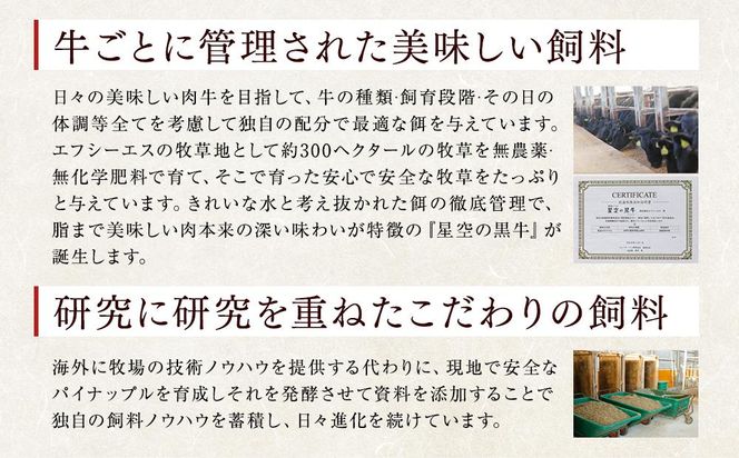 北海道標茶町 星空の黒牛 くちどけフレーク 180g×4袋入 山わさび 80g【 肉 牛 牛肉 和牛 国産 霜降り 冷凍 どんぶり 丼 人気 ちらし寿司 冷凍 ギフト 取り寄せ 国産和牛 トロ ふりかけ 標茶町 北海道 】 016641_AD036