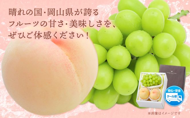 【2026年先行予約】桃・シャインマスカット詰め合わせ 約1kg クール便 冷蔵便 桃 もも 葡萄 ブドウ ぶどうシャインマスカット マスカット フルーツ セット 先行予約 晴れの国おかやま館 《2026年8月下旬‐9月中旬頃出荷》 フルーツ 果物 果実 岡山県 笠岡市---H-23---