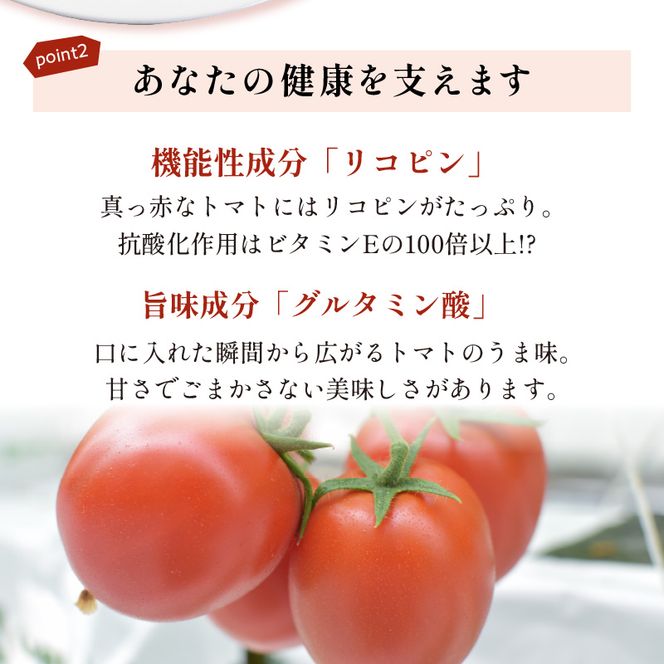 【限定出荷】"たまとま"＋カラーミニトマト(約4kg)[定期便2回]《 野菜 トマト ミニトマト カラートマト 定期 定期便 2回 送料無料 おすすめ 美味しい セット とまと ふるさと納税 》