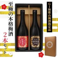 「GI和歌山梅酒」に指定された 至極の本格 梅酒 2本セット ［MG77］ 303446_AB96145