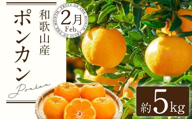 定期便全3回 【2月・3月・4月発送】 和歌山の春のフルーツ （ポンカン・清見オレンジ・まりひめ）【TM174】 303446_XH92234