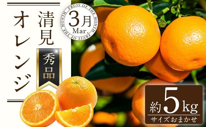 定期便全3回 【2月・3月・4月発送】 和歌山の春のフルーツ （ポンカン・清見オレンジ・まりひめ）【TM174】 303446_XH92234