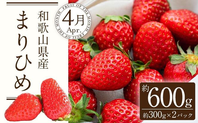 定期便全3回 【2月・3月・4月発送】 和歌山の春のフルーツ （ポンカン・清見オレンジ・まりひめ）【TM174】 303446_XH92234