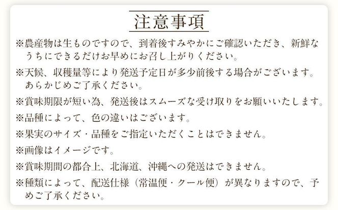 定期便全3回 【2月・3月・4月発送】 和歌山の春のフルーツ （ポンカン・清見オレンジ・まりひめ）【TM174】 303446_XH92234
