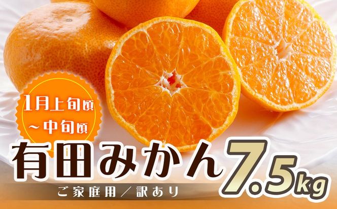［魚鶴商店厳選］和歌山人気の柑橘ご家庭用・訳あり定期便（みかん・不知火・清見オレンジ）［定期便全3回］［UT117］ 303446_XF063