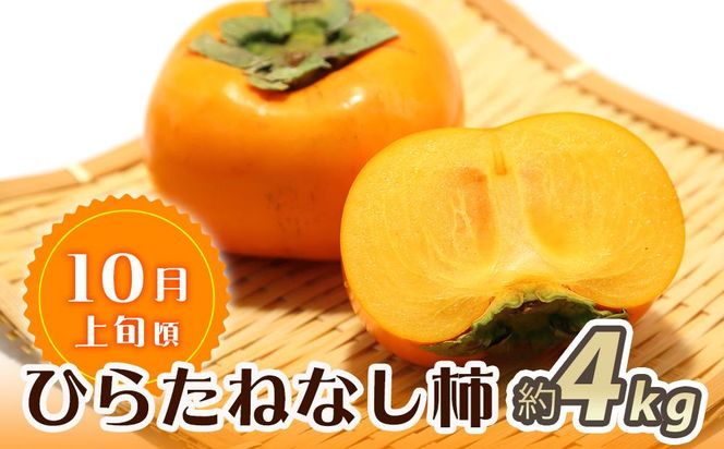 【魚鶴商店厳選】和歌山人気のフルーツ定期便（柿・みかん）【定期便全3回】【UT115】 303446_XF066