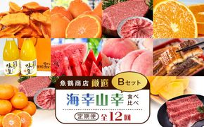 【魚鶴商店厳選！】人気の海幸山幸食べ比べ【定期便全12回】セットB【UT110】 303446_XF90002