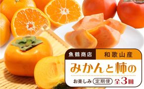 【10・11・12月 全3回】和歌山産 みかんと柿のお楽しみ 定期便 【魚鶴商店】【UT111】 303446_XF91093