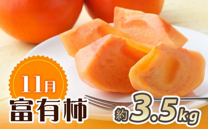 【10・11・12月 全3回】和歌山産 みかんと柿のお楽しみ 定期便 【魚鶴商店】【UT111】 303446_XF91093