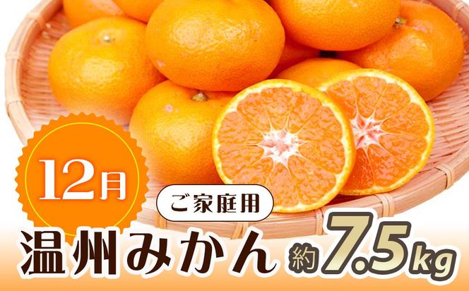 【10・11・12月 全3回】和歌山産 みかんと柿のお楽しみ 定期便 【魚鶴商店】【UT111】 303446_XF91093