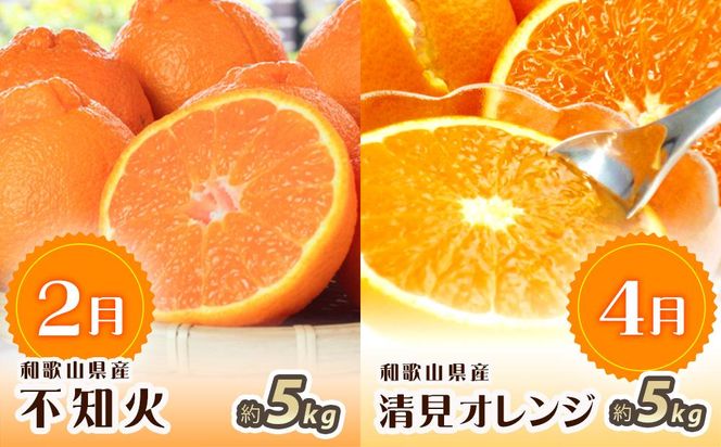 【2・4・6・8・10・12月 偶数月発送 全6回】和歌山産 旬のフルーツ お楽しみ 定期便 【魚鶴商店】【UT113】 303446_XF91096