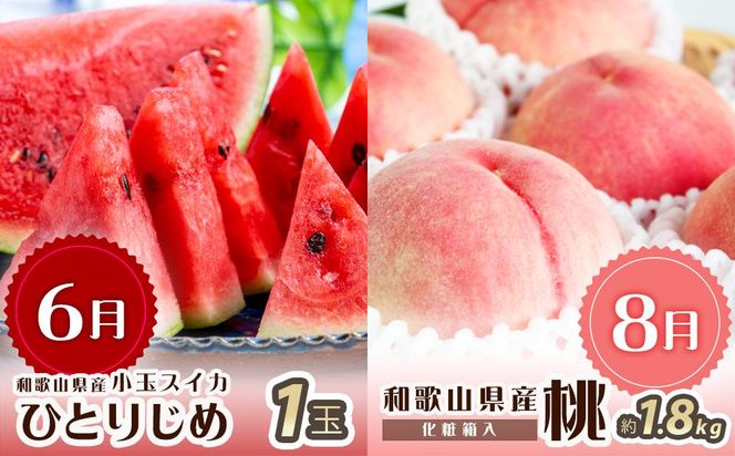 【2・4・6・8・10・12月 偶数月発送 全6回】和歌山産 旬のフルーツ お楽しみ 定期便 【魚鶴商店】【UT113】 303446_XF91096