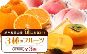 紀州和歌山産 旬にお届け！3種のフルーツセット（不知火・桃・ひらたね）【UT58】 303446_XF91127