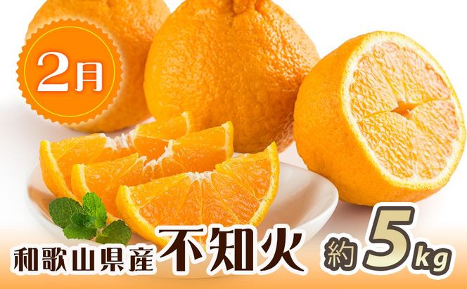 紀州和歌山産 旬にお届け！3種のフルーツセット（不知火・桃・ひらたね）【UT58】 303446_XF91127