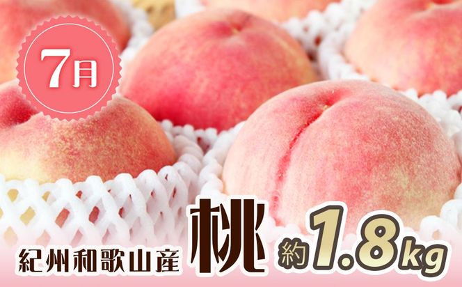 紀州和歌山産 旬にお届け！3種のフルーツセット（不知火・桃・ひらたね）【UT58】 303446_XF91127