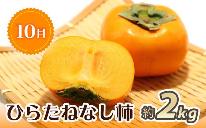 紀州和歌山産 旬にお届け！3種のフルーツセット（不知火・桃・ひらたね）【UT58】 303446_XF91127