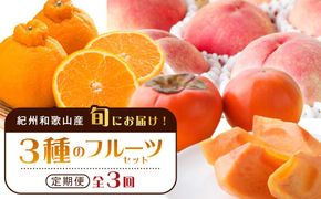紀州和歌山産 旬にお届け！フルーツセット（不知火・桃・富有柿）【UT59】 303446_XF91128