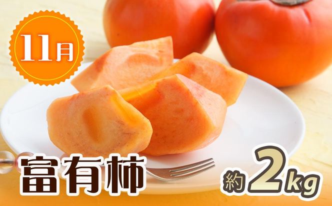 紀州和歌山産 旬にお届け！フルーツセット（不知火・桃・富有柿）【UT59】 303446_XF91128