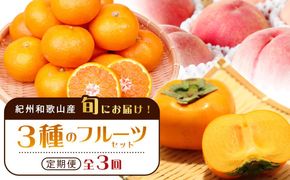 紀州和歌山産旬のフルーツセット（桃・平核無柿・みかん）【UT60】 303446_XF91129