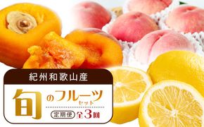 【1・3・7月 全3回】紀州和歌山産旬のフルーツセット（あんぽ柿・レモン・桃） 定期便 【魚鶴商店】【UT65】 303446_XF91134