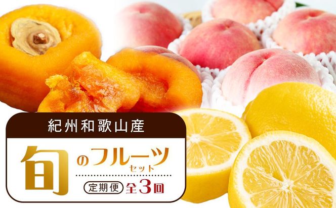 【1・3・7月 全3回】紀州和歌山産旬のフルーツセット（あんぽ柿・レモン・桃） 定期便 【魚鶴商店】【UT65】 303446_XF91134