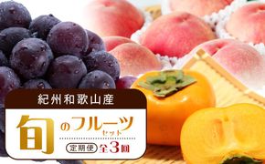 【7・8・10月 全3回】紀州和歌山産旬のフルーツセット（桃・ピオーネ・ひらたねなし柿）定期便 【魚鶴商店】【UT67】 303446_XF91136