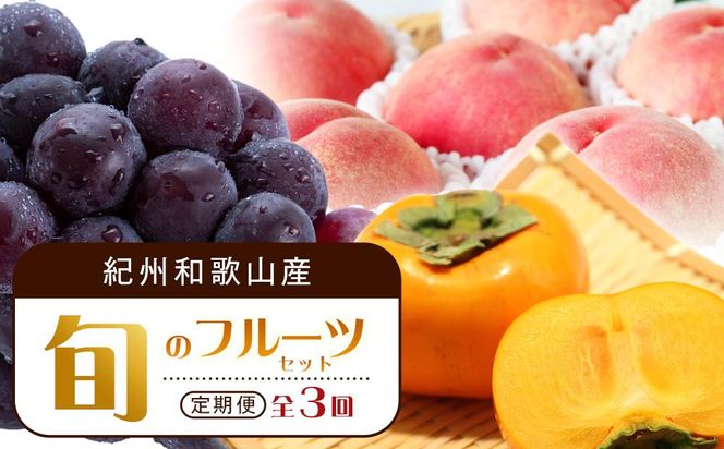 ya̎R쒬zy7E8E10 S3zIBa̎RY{̃t[cZbgiEsI[lEЂ炽˂Ȃ`j yߏXzyUT67z 303446_XF91136