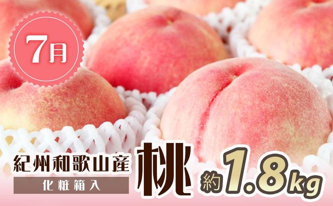 【7・8・10月 全3回】紀州和歌山産旬のフルーツセット（桃・ピオーネ・ひらたねなし柿）定期便 【魚鶴商店】【UT67】 303446_XF91136