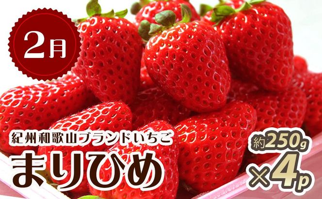 【2・7・11月 全3回】紀州和歌山産旬のフルーツセット（いちご・桃・富有柿）定期便 【魚鶴商店】【UT69】 303446_XF91138