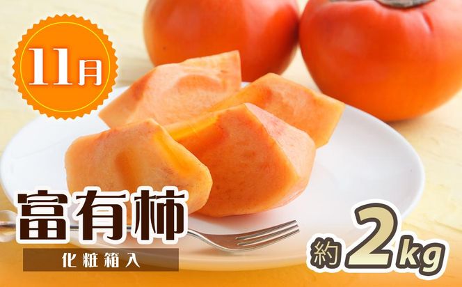 【2・7・11月 全3回】紀州和歌山産旬のフルーツセット（いちご・桃・富有柿）定期便 【魚鶴商店】【UT69】 303446_XF91138