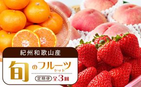 【2・7・12月 全3回】紀州和歌山産旬のフルーツセット（いちご・桃・有田みかん）定期便 【魚鶴商店】【UT70】 303446_XF91139
