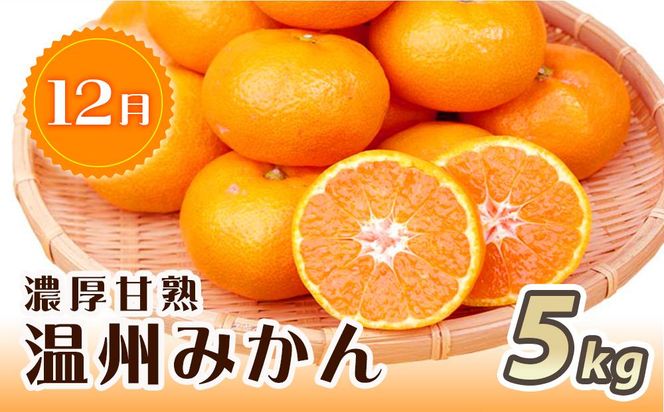 【2・7・12月 全3回】紀州和歌山産旬のフルーツセット（いちご・桃・有田みかん）定期便 【魚鶴商店】【UT70】 303446_XF91139