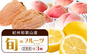 【1・3・7月 全3回】紀州和歌山産旬のフルーツセット（干柿・レモン・桃） 定期便 【魚鶴商店】【UT71】 303446_XF91140