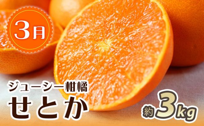 【3・7・11月 全3回】紀州和歌山産旬のフルーツセット（せとか・桃・富有柿） 定期便 【魚鶴商店】【UT72】 303446_XF91141