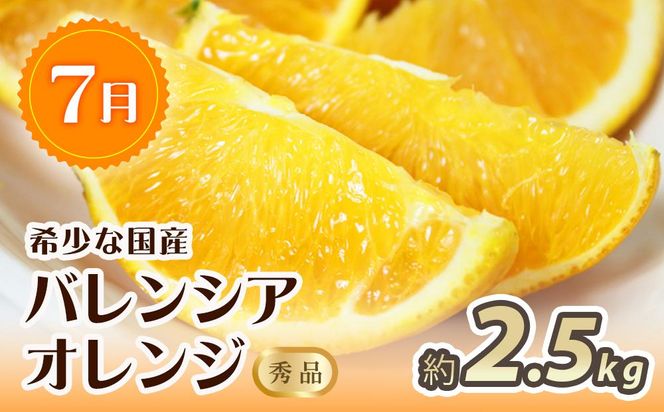 【7・8・10月 全3回】紀州和歌山産旬のフルーツセット（バレンシア・桃・ひらたねなし柿）【UT79】 303446_XF91142