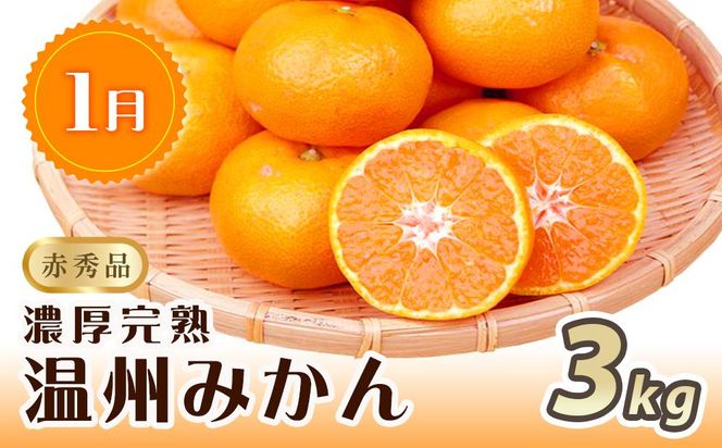 【1・4・7月 全3回】紀州和歌山産旬のフルーツセット（みかん・なつみ・バレンシア）【UT82】 303446_XF91145