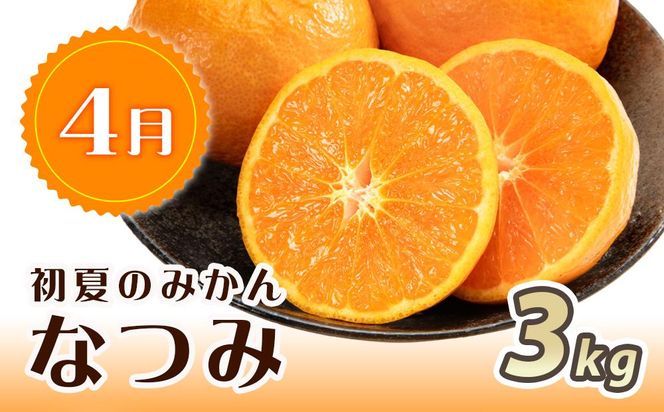 【1・4・7月 全3回】紀州和歌山産旬のフルーツセット（みかん・なつみ・バレンシア）【UT82】 303446_XF91145