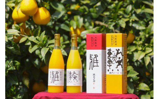 愛媛県産 果汁100％みかんジュース2本入りセット（清見・ナダオレンジ）みかん 柑橘 ギフト