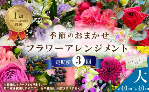 R5-941．【3回定期便】＜1級フラワー装飾技能士が厳選＞季節のおまかせフラワーアレンジメント【生花】（大）