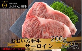 冷蔵発送/おおいた和牛サーロインステーキ600ｇ_1792R