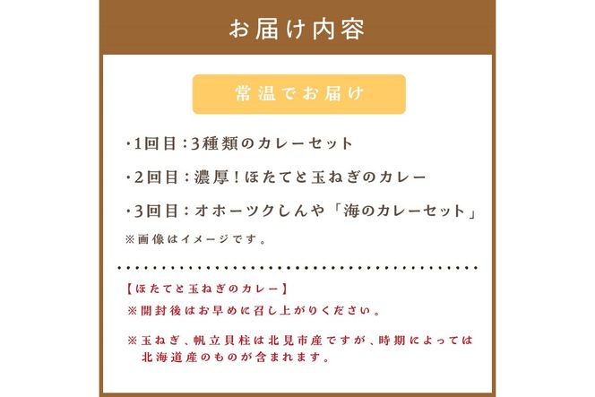 【3ヶ月定期便】 ＼カレー三昧／楽ちんおうちごはん ( カレー レトルトカレー 定期便 )【999-0112】